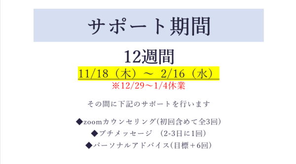 vダイエットプログラv